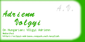 adrienn volgyi business card
